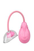 Вібропомпа для вагіни DREAM TOYS VIBRATING VAGINA PUMP