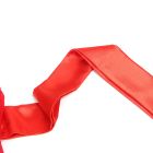 Боді з підв'язками для панчіх Star Night та атласними стрічками на руки, червоний, S вид 13