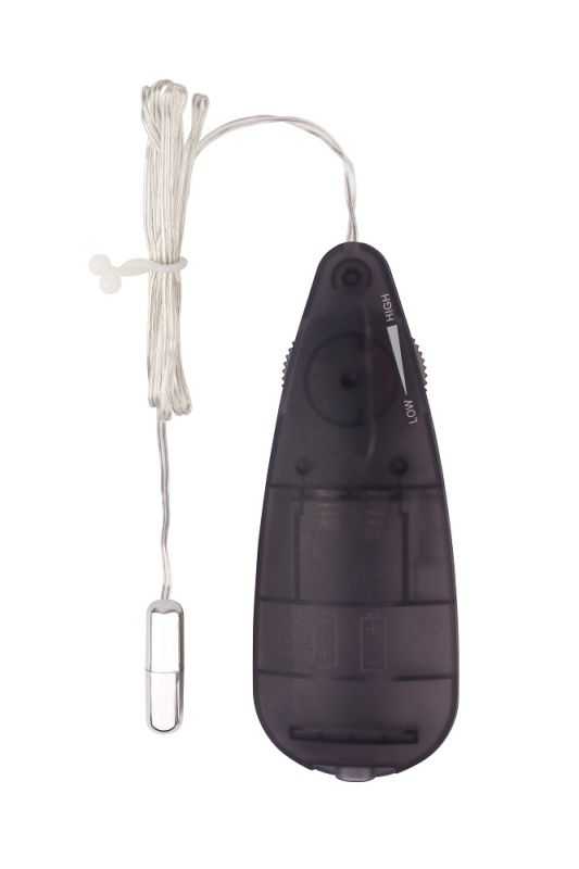 Віброкулька Chisa Hi-Basic Mini Bullet з пультом керування, срібляста вид 3