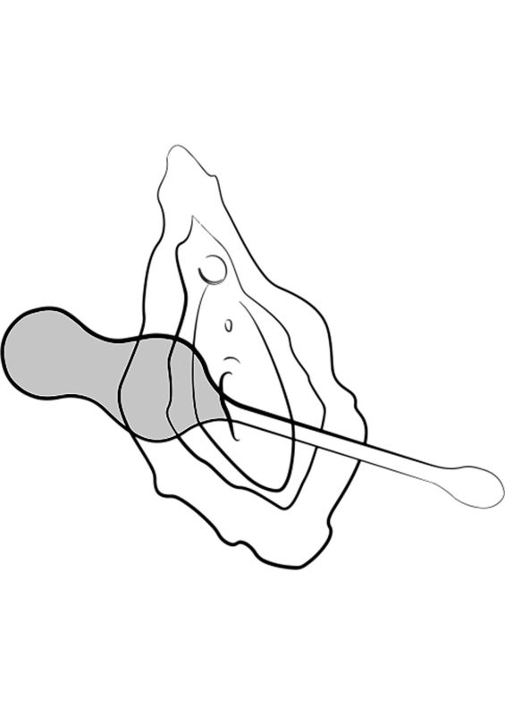 Виброяйцо с дистанционным пультом управления Romp Cello, бирюзовый вид 9