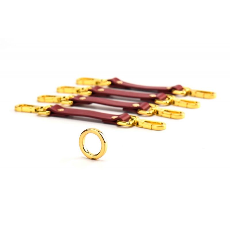 Набор BDSM Чемодан Желаний кожанный красный Kinky Tools Set UPKO вид 5