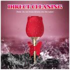 Вакуумный стимулятор клитора с вибрацией в виде розы Rose Flirting, красный вид 12