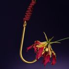 Вагінальний / анальний гак UPKO Hook золотистий, з кулькою на кінці та кільцем для фіксації вид 4