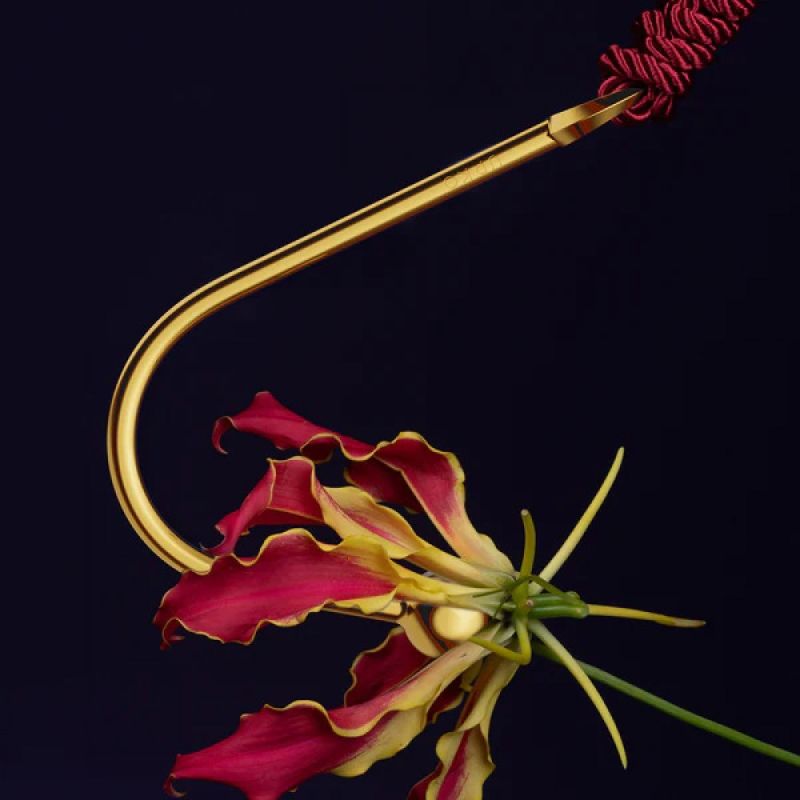 Вагінальний / анальний гак UPKO Hook золотистий, з кулькою на кінці та кільцем для фіксації вид 5