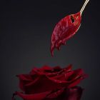 Скребок-ложка для воску низькотемпературної свічки UPKO золотий вид 11