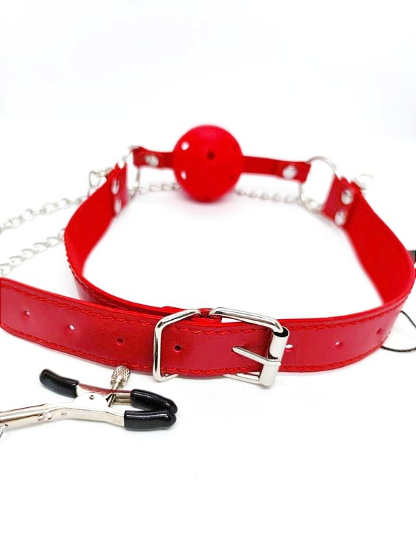Кляп DS Fetish Ball gag with nipple clamps red вид 5