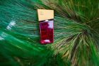 Духи с феромонами женские SHIATSU Pheromone Fragrance women red, 15 мл вид 7