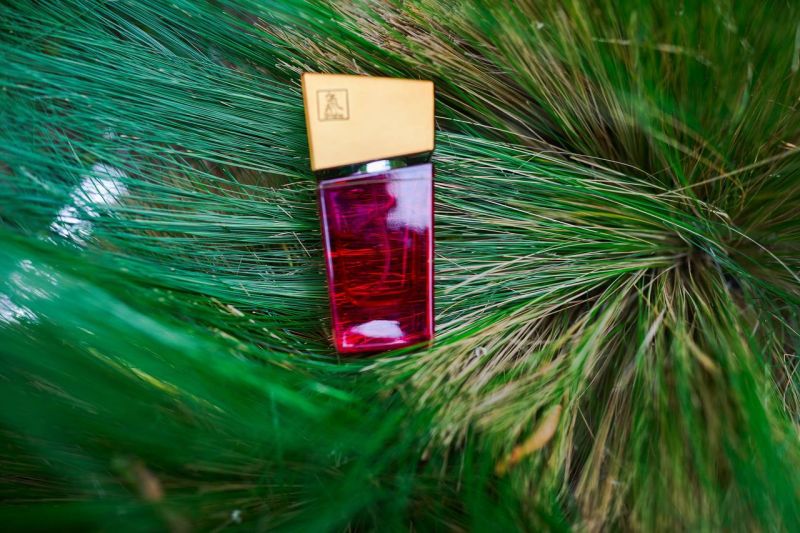 Духи с феромонами женские SHIATSU Pheromone Fragrance women red, 15 мл вид 7