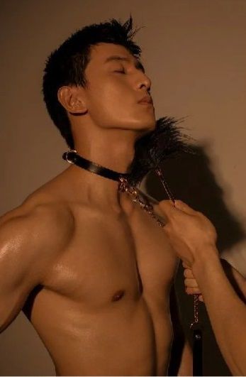 Повідець, італійська шкіра, з металевим ланцюгом, Leather Cosplay Leash UPKO вид 4