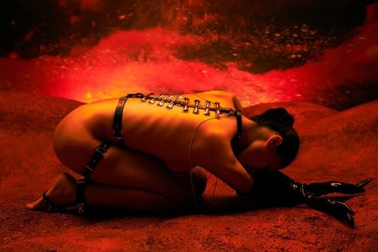 Набор БДСМ из сбруи и пестисов Butterfly UPKO, итальянская кожа, позолота 24К вид 3