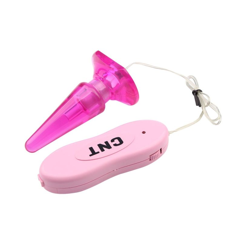 Анальная пробка с вибрацией и пультом Chisa Hi-Basic розовая вид 4