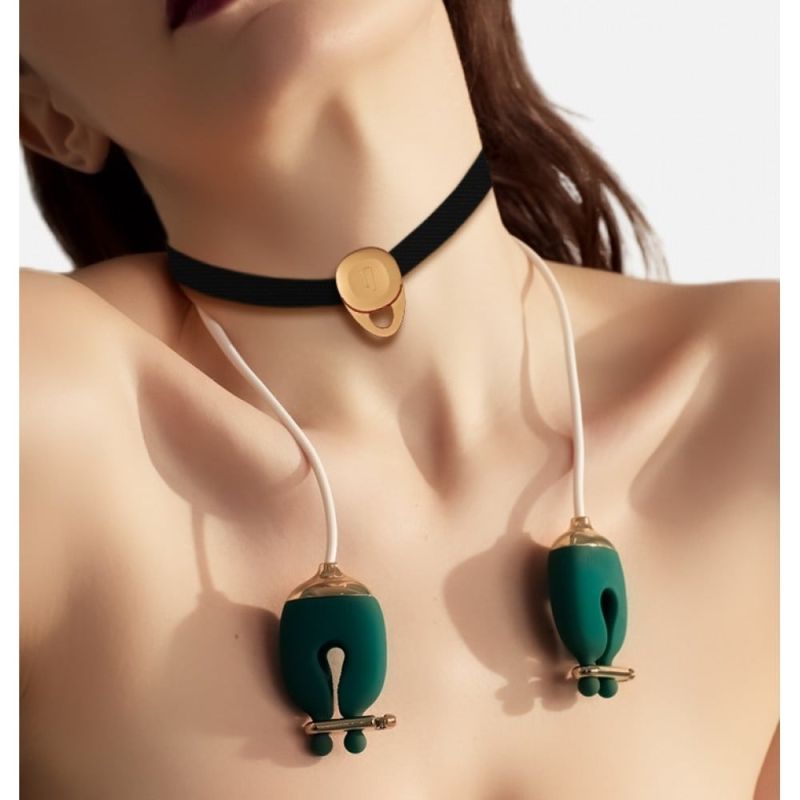 Набор зажимы для сосков с вибрацией и ошейник Qingnan No.2, зеленый вид 5