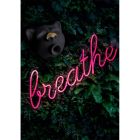 Вакуумний стимулятор клітора у формі кота Gcat Gvibe, силіконовий, чорний вид 5