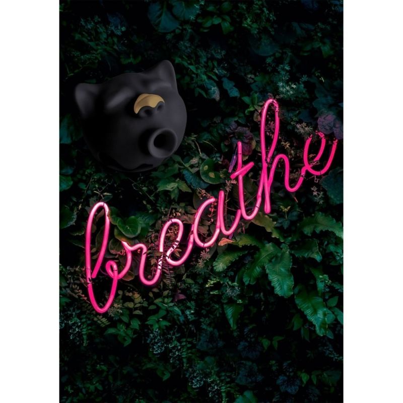 Вакуумний стимулятор клітора у формі кота Gcat Gvibe, силіконовий, чорний вид 5