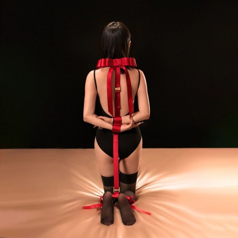 Набір для бондажу UPKO Bondage Fantasy з червоним, бантиками вид 4
