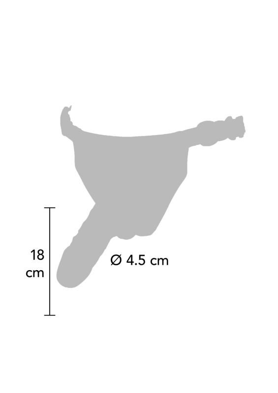 Страпон реалістичний ToyJoy Superwoman на чорних трусиках вид 3