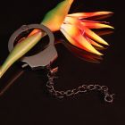 Наручник з ланцюжком та карабіном Roomfun з ключиком, чорний вид 13