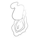 Вібратор з вакуумно-пульсуючою стимуляцією ROMP Kiss помаранчевий вид 8