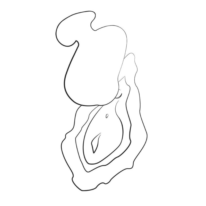 Вибратор с вакуумно-пульсирующей стимуляцией ROMP Kiss оранжевый вид 8