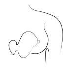 Вібратор з вакуумно-пульсуючою стимуляцією ROMP Kiss помаранчевий вид 9