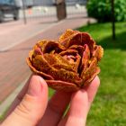 Свічка низькотемпературна у вигляді троянди з глітером GlowKink бордова, L вид 22