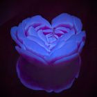 Свічка низькотемпературна люмінесцентна GlowKink фіолетова, L вид 2