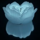 Cвiчка люмінісцентна низькотемпературна GlowKink біла, М вид 4