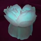 Свеча люминисцентная низкотемпературная GlowKink белая, М вид 6