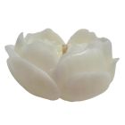 Cвiчка люмінісцентна низькотемпературна GlowKink біла, М вид 8