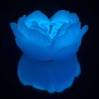 Cвiчка низькотемпературна люмінісцентна блакитна М вид 2