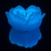 Cвiчка люмінісцентна низькотемпературна GlowKink блакитна, М