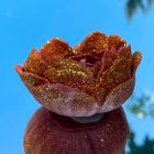 Свічка низькотемпературна у вигляді троянди з глітером GlowKink бордова, М вид 37