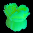 Cвiчка люмінісцентна низькотемпературна GlowKink салатова, L вид 2