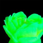 Cвiчка люмінісцентна низькотемпературна GlowKink салатова, L вид 22