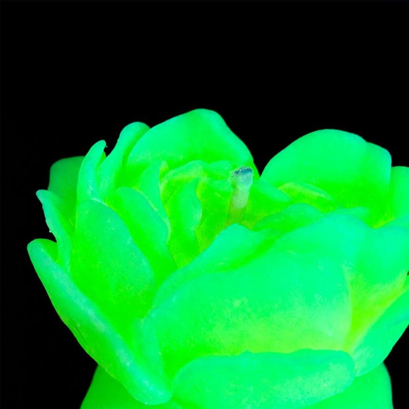 Cвiчка люмінісцентна низькотемпературна GlowKink салатова, L вид 22