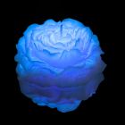 Свеча пион люминесцентный GlowKink низкотемпературная, голубая, L вид 2