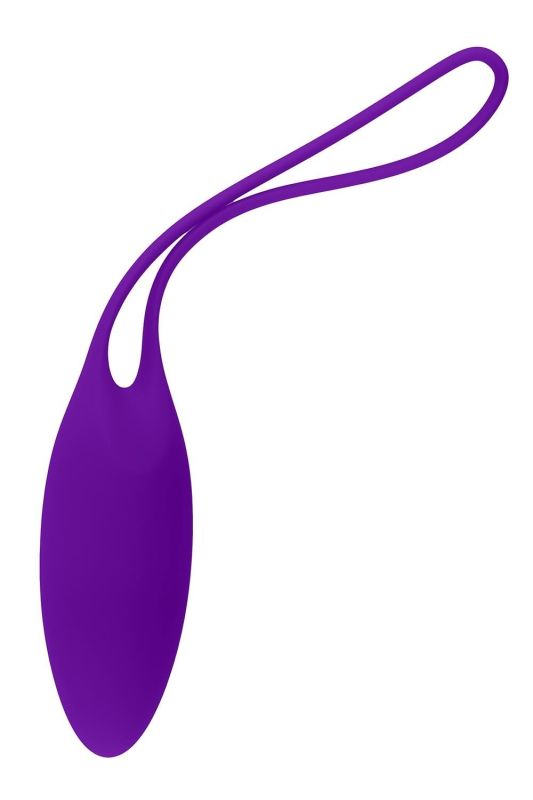 Набор тренажеров Кегеля Evolved Playboy Put In Work 4 вагинальных яйца, фиолетовый вид 4