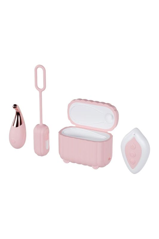 Набор вибраторов Blush Play With Me с пультом и кейсом, розовый, 2 шт вид 2