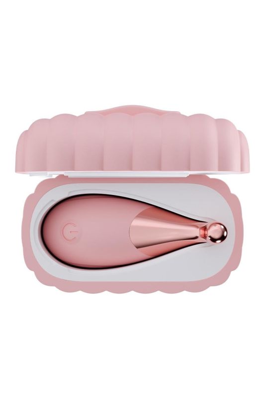 Набір вібраторів Blush Play With Me з пультом та кейсом, рожевий, 2 шт. вид 3