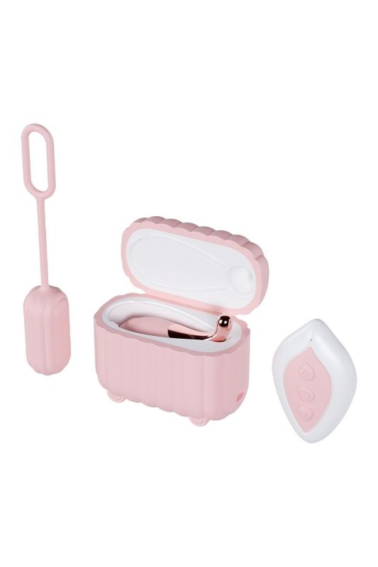 Набор вибраторов Blush Play With Me с пультом и кейсом, розовый, 2 шт вид 4