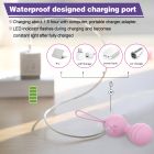 Набір вагінальних віброкульок Every Night Toys Beata, 4 шт, з дистанційним пультом, бузковий вид 8