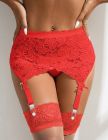 Комплект трусики с поясом для чулок Star Night, красный, XS-S вид 3