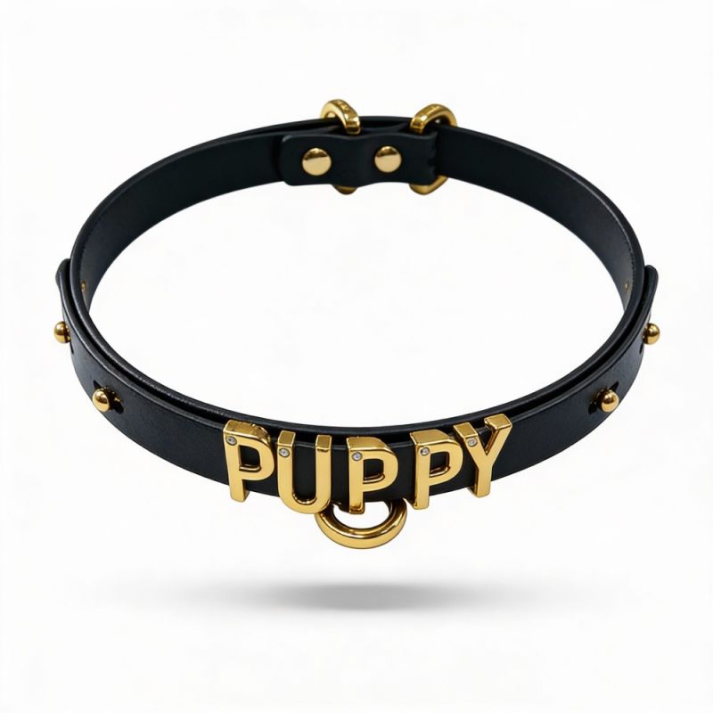 Чокер с надписью PUPPY от UPKO из итальянской кожи, чёрный с золотой фурнитурой вид 4
