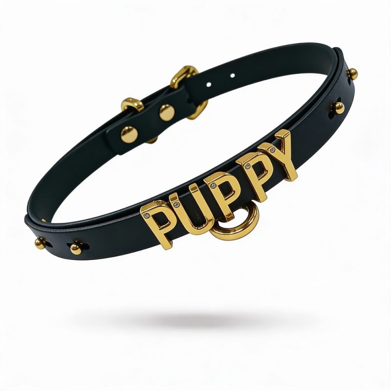 Чокер с надписью PUPPY от UPKO из итальянской кожи, чёрный с золотой фурнитурой вид 6