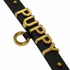 Чокер з написом PUPPY від UPKO з італійської шкіри, чорний із золотою фурнітурою вид 7