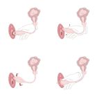Вибратор-трусики з пультом UPKO UEROS со съемным виброяйцом, розовый вид 12