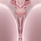 Вибратор-трусики з пультом UPKO UEROS со съемным виброяйцом, розовый вид 13