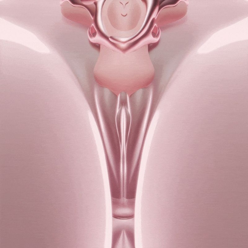 Вибратор-трусики з пультом UPKO UEROS со съемным виброяйцом, розовый вид 13