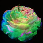 Свічка Півонія низькотемпературна люмінесцентна GlowKink різнокольорова, VIP-концентрація, 91 г вид 2