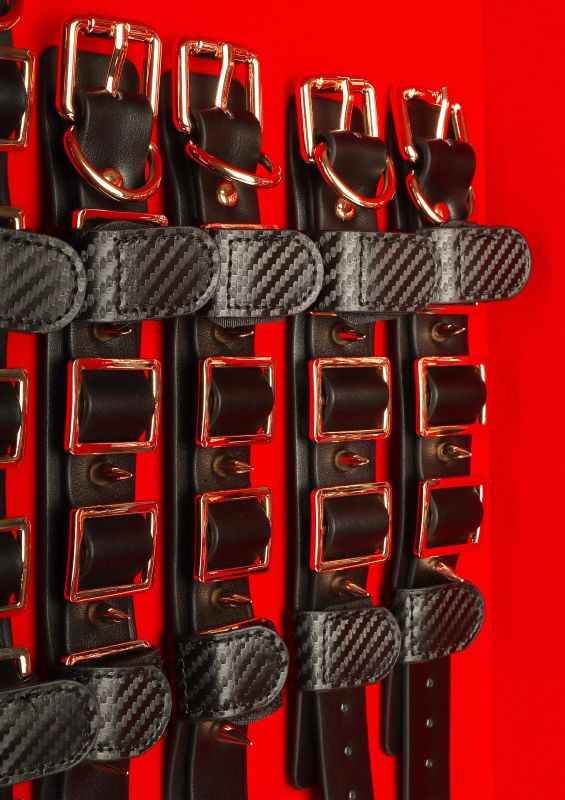 Шафа-валіза для БДСМ-аксесуарів TABOOM Desires Masterpiece Case, 11 предметів вид 4